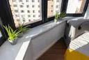 Миниатюра №11
