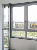 Миниатюра №1