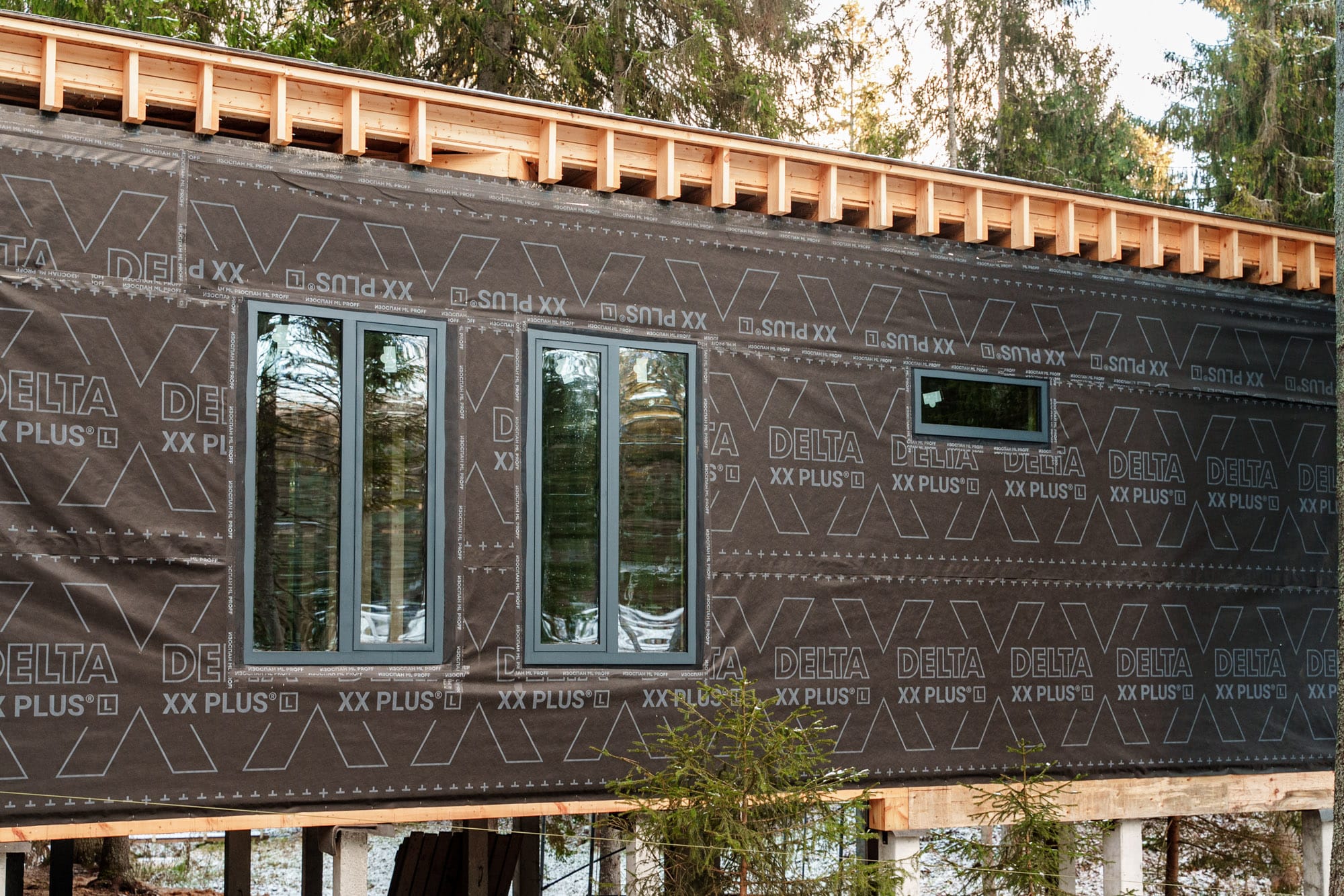 Миниатюра №38