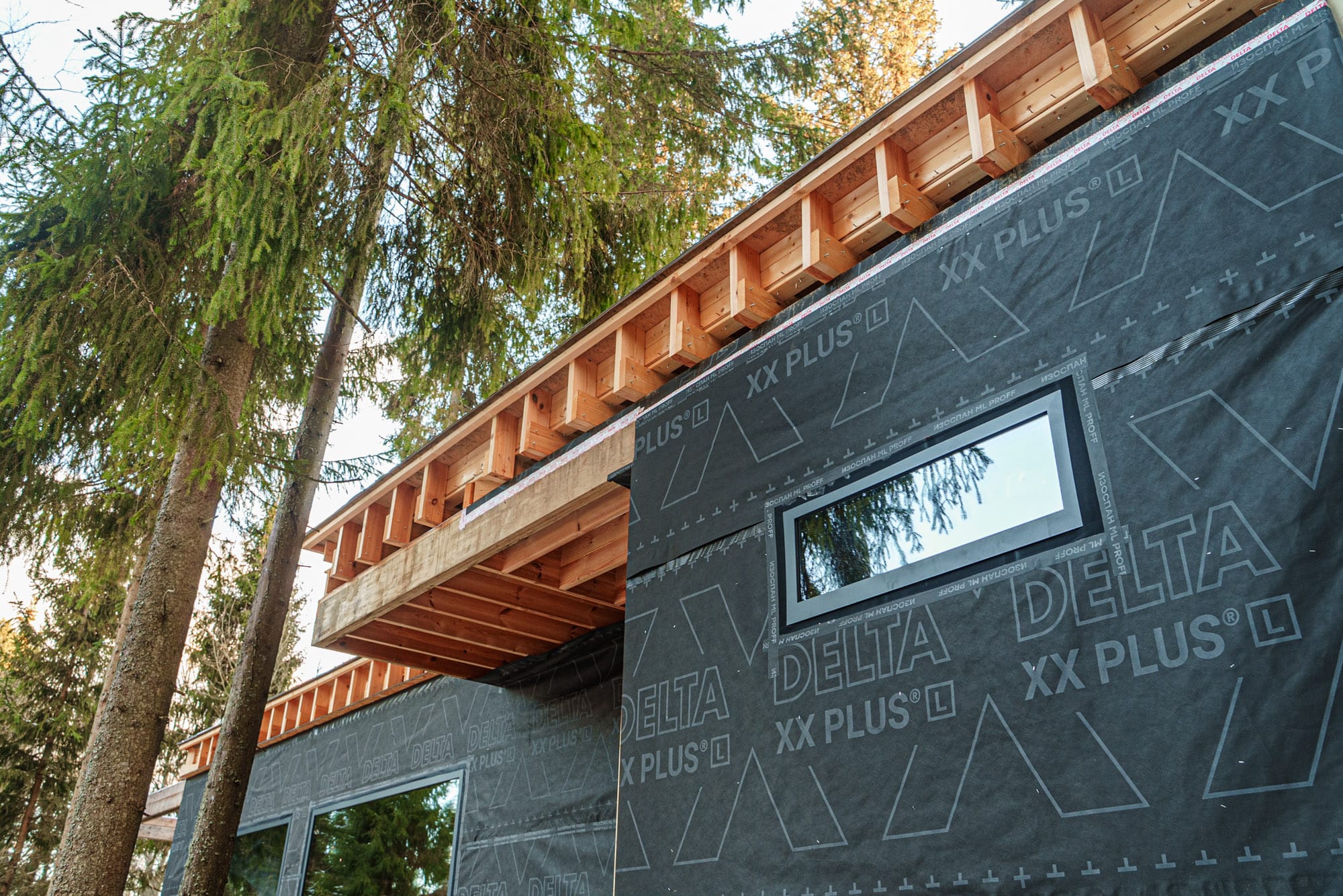 Миниатюра №42