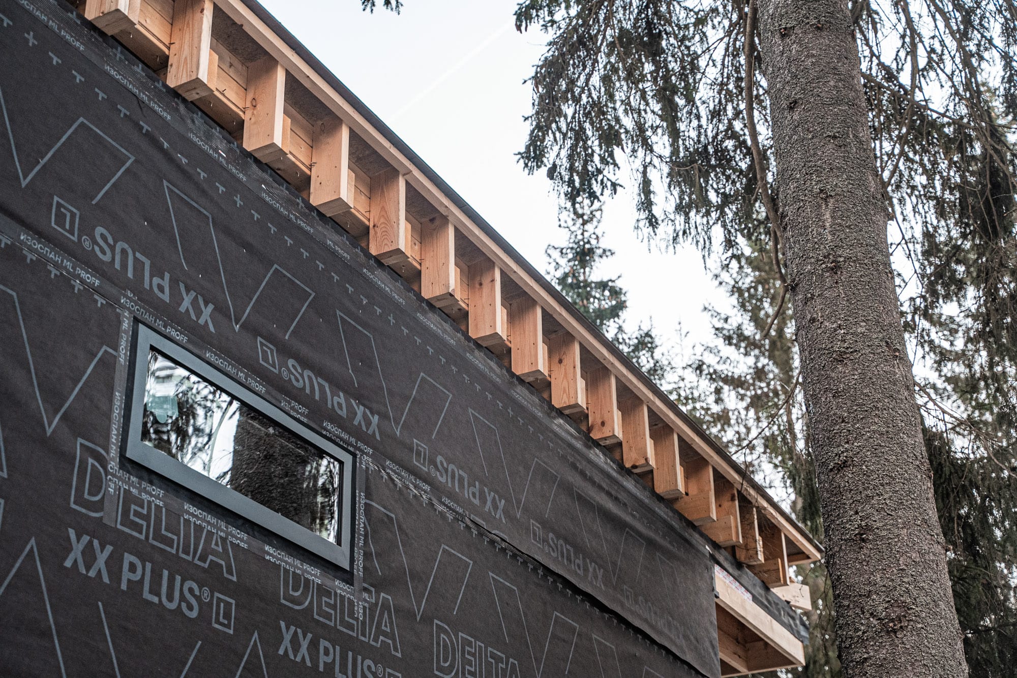 Миниатюра №66