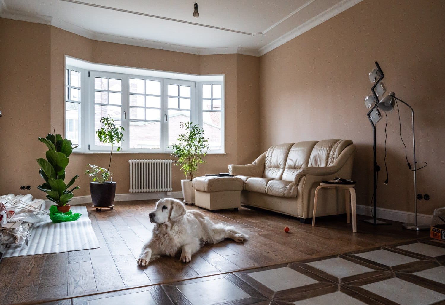 Миниатюра №22