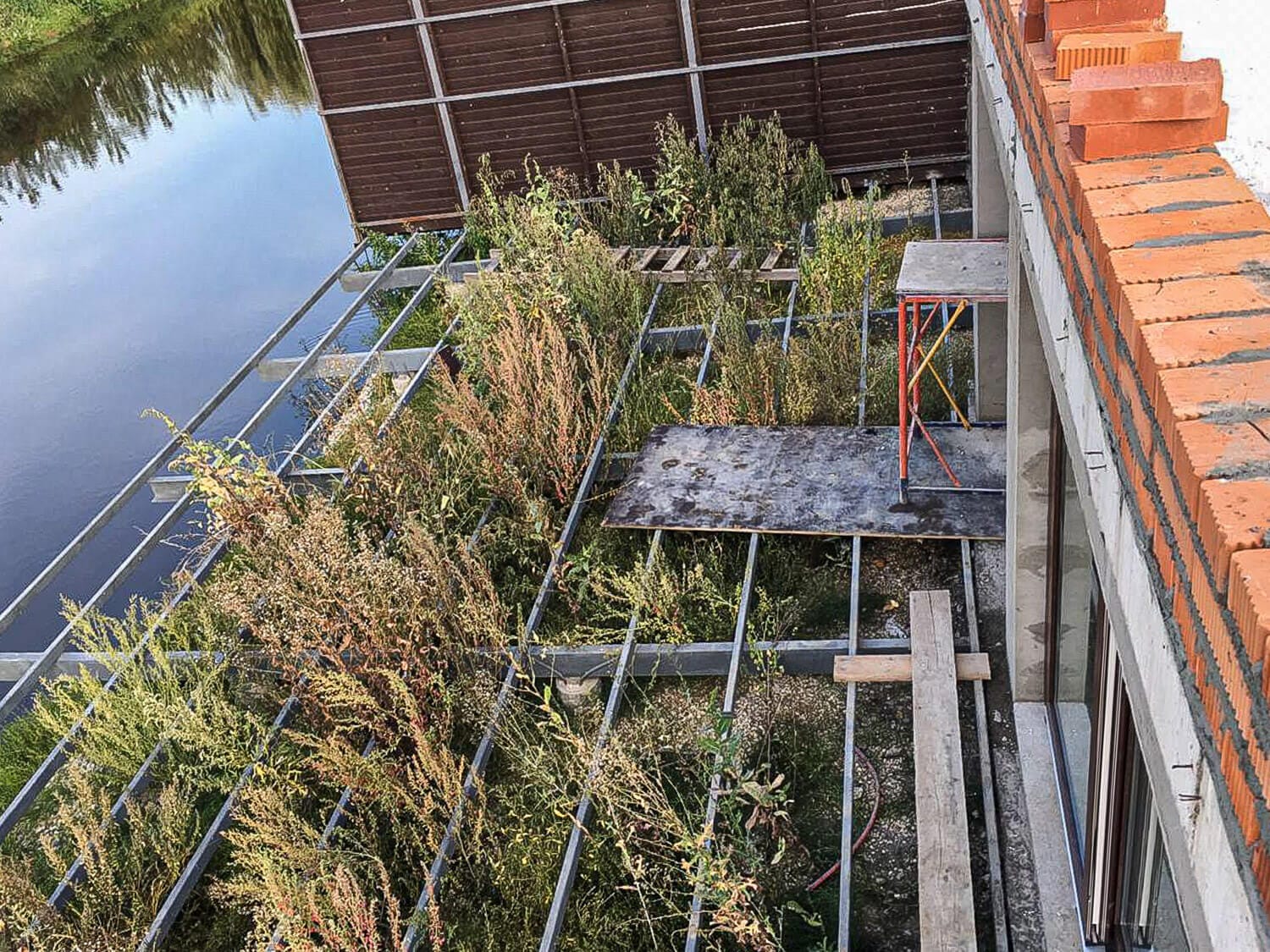 Миниатюра №4