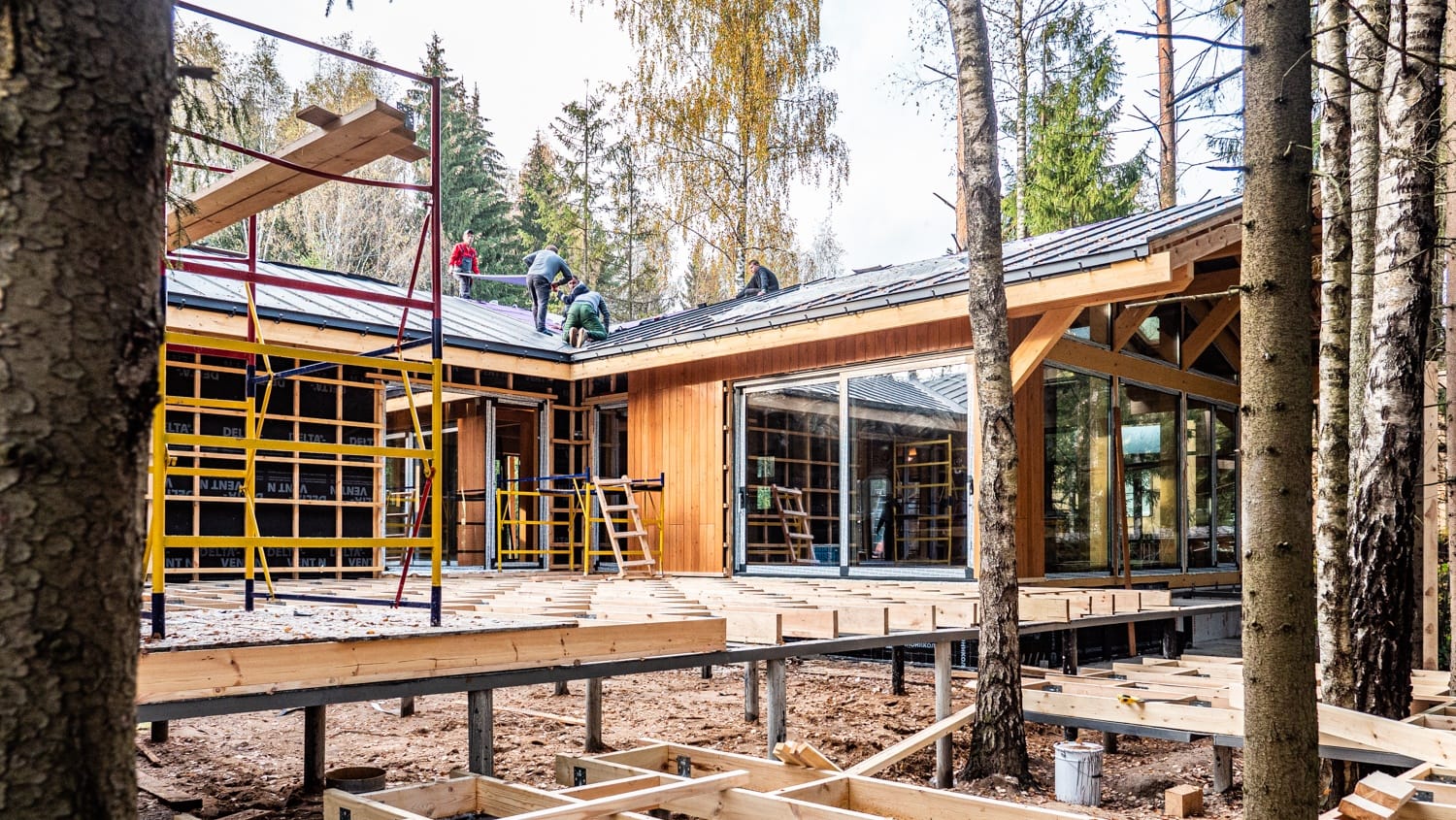 Миниатюра №24