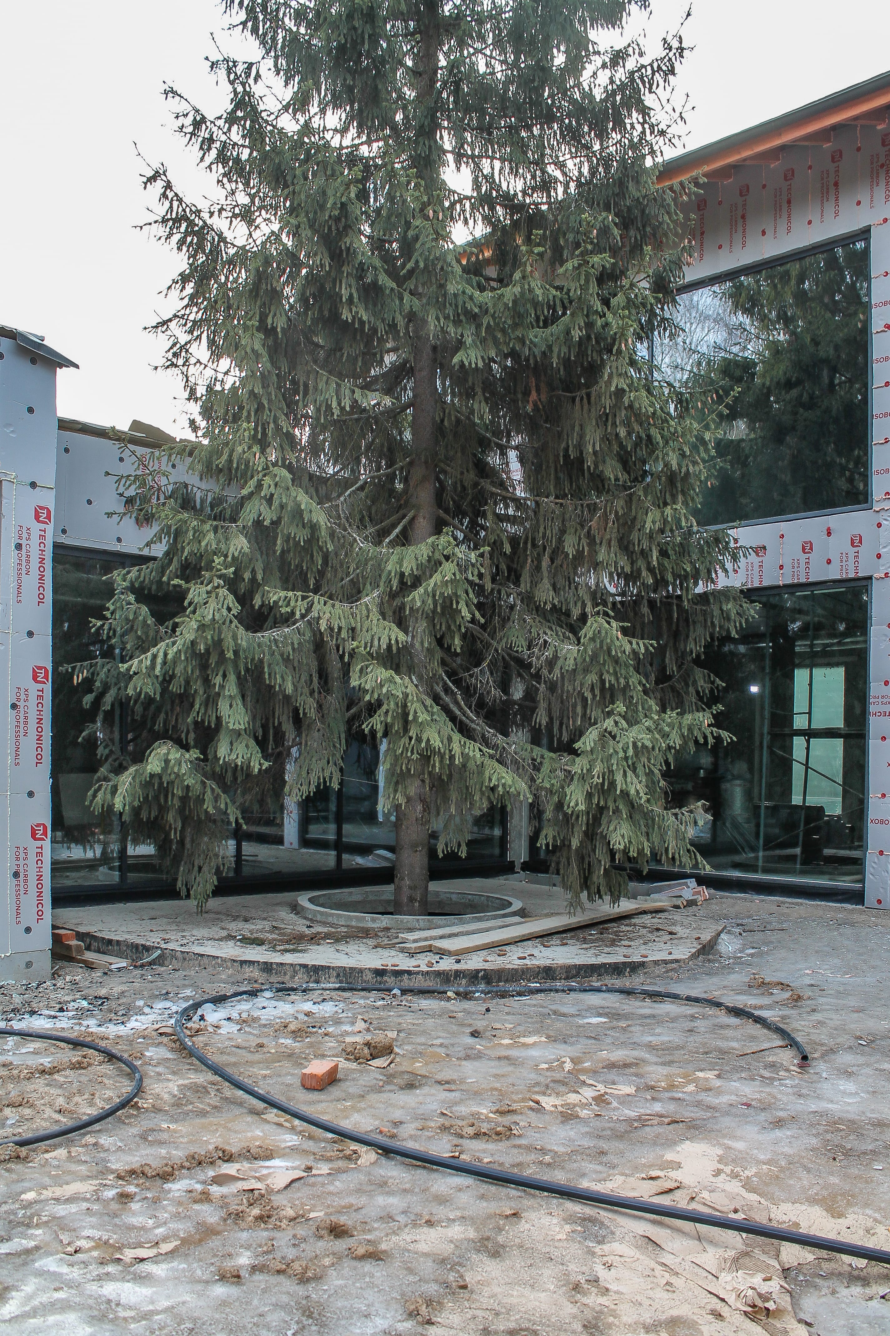 Миниатюра №20