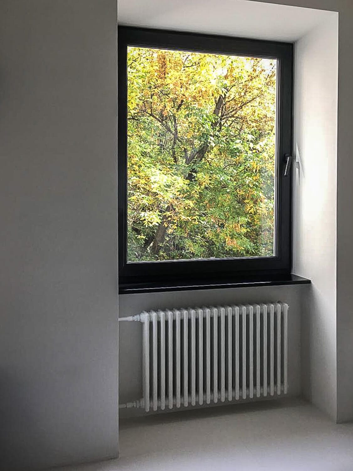 Миниатюра №5