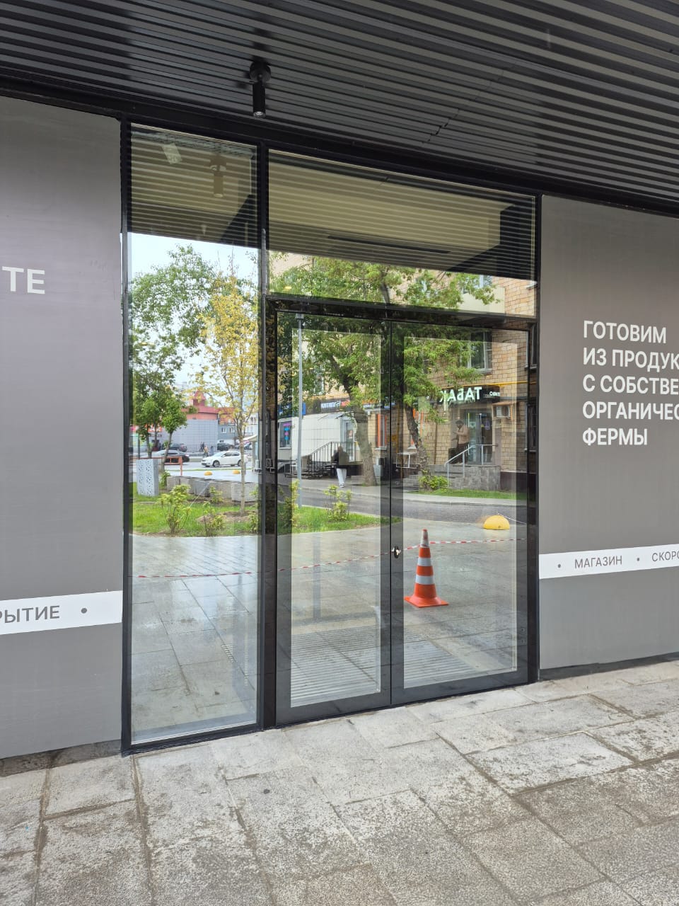 Миниатюра №4