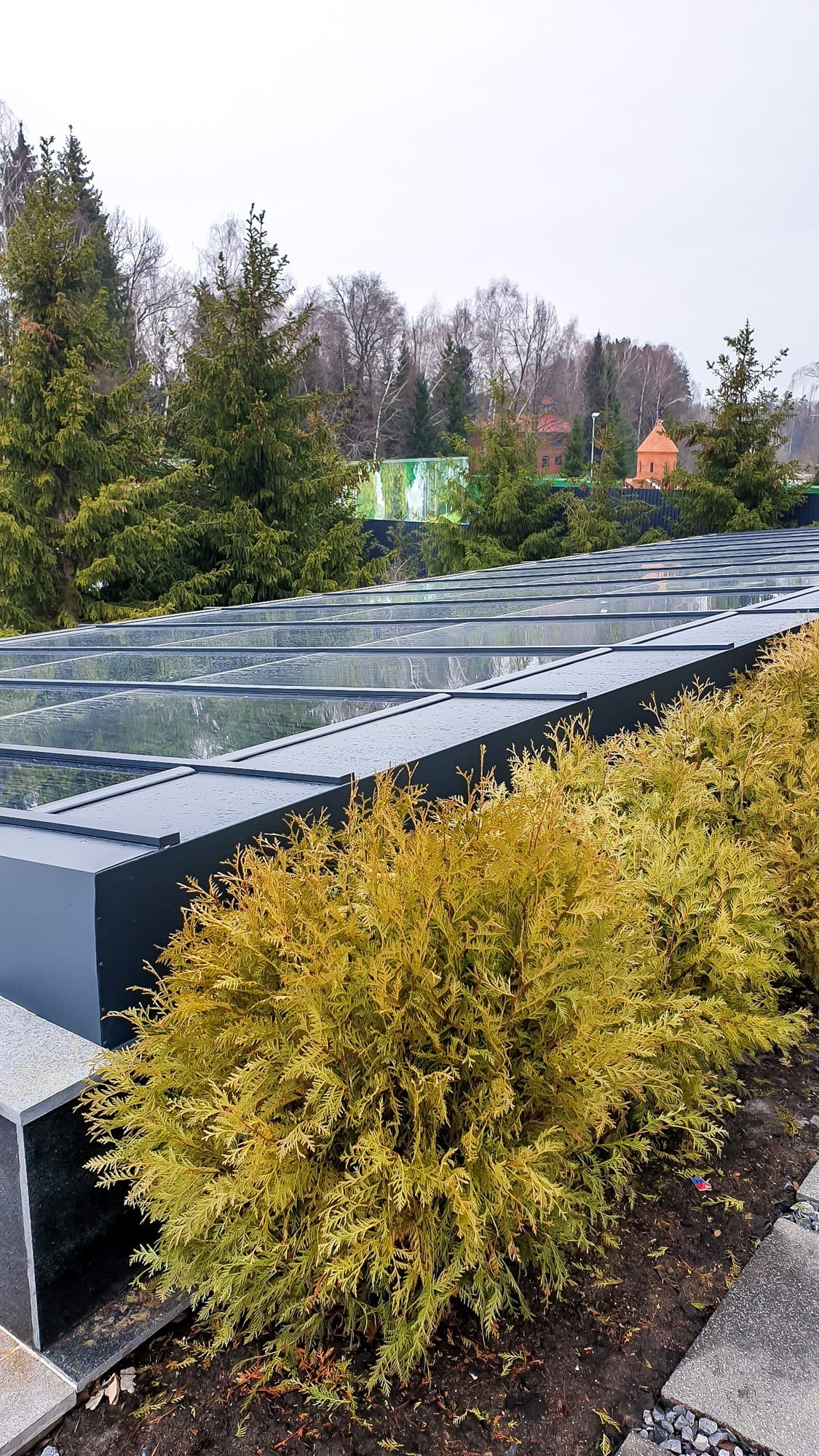 Миниатюра №6