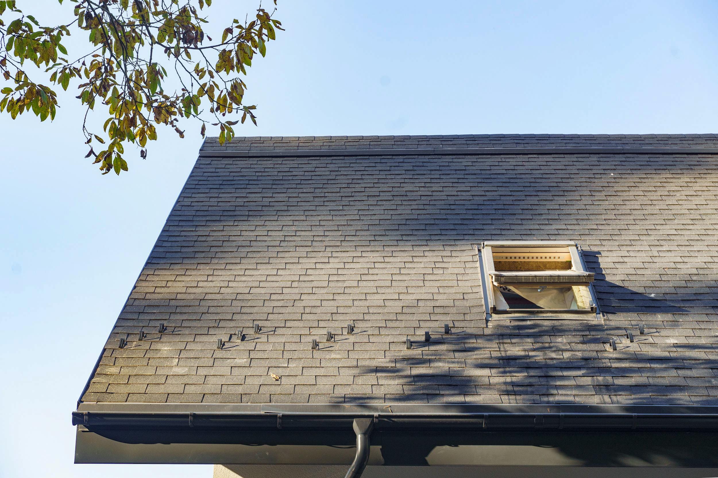 Миниатюра №8