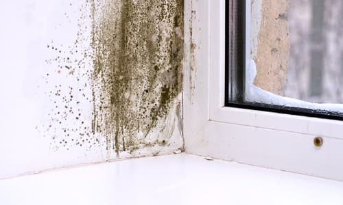 Стоит ли экономить на пластиковых окнах?